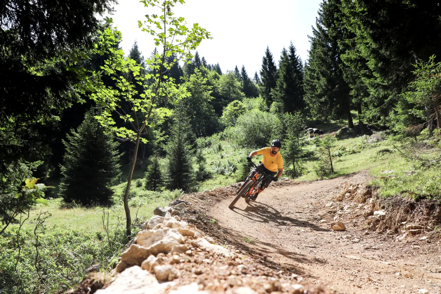 Bike park